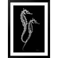 thumbnail image 2 of Art.com Sea Horse Xray Art Print by Albert Koetsier, Black Frame Wall Art, 32" x 44", 2 of 5
