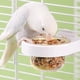 thumbnail image 2 of Comedero Transparente para Periquitos, Antivuelco, para Jaulas de Chinchillas, Bebedero con Abrazadera., 2 of 5