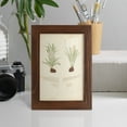 thumbnail image 5 of Fern Study III -Framed Print w/glass-Chestnut, 5 of 8