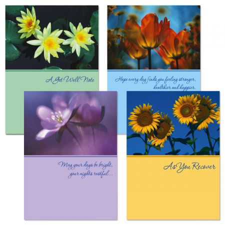 Floral Get Well Wishes- Set of 8 Greeting Cards