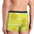 thumbnail image 5 of Kll Gold Pineapple Men'S Cotton Boxer Briefs Underwear-Medium, 5 of 9