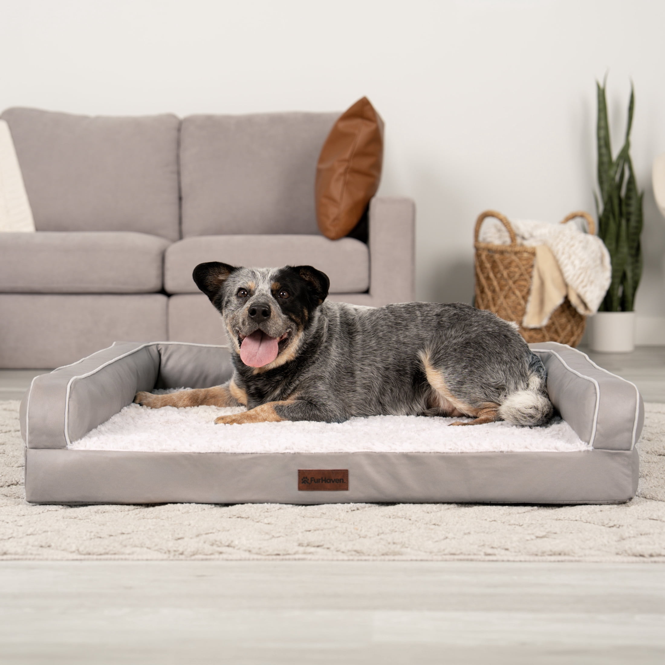 FurHaven Large (27"x36") Orthopedic Dog Bed – Textured Plush & Coated Poly Modern Sofa Pet Bed, CertiPUR-US Foam, Removable Washable Cover, Greige