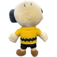 thumbnail image 3 of Snoopy in Space Charlie Brown Plush (Mission Control), 3 of 3