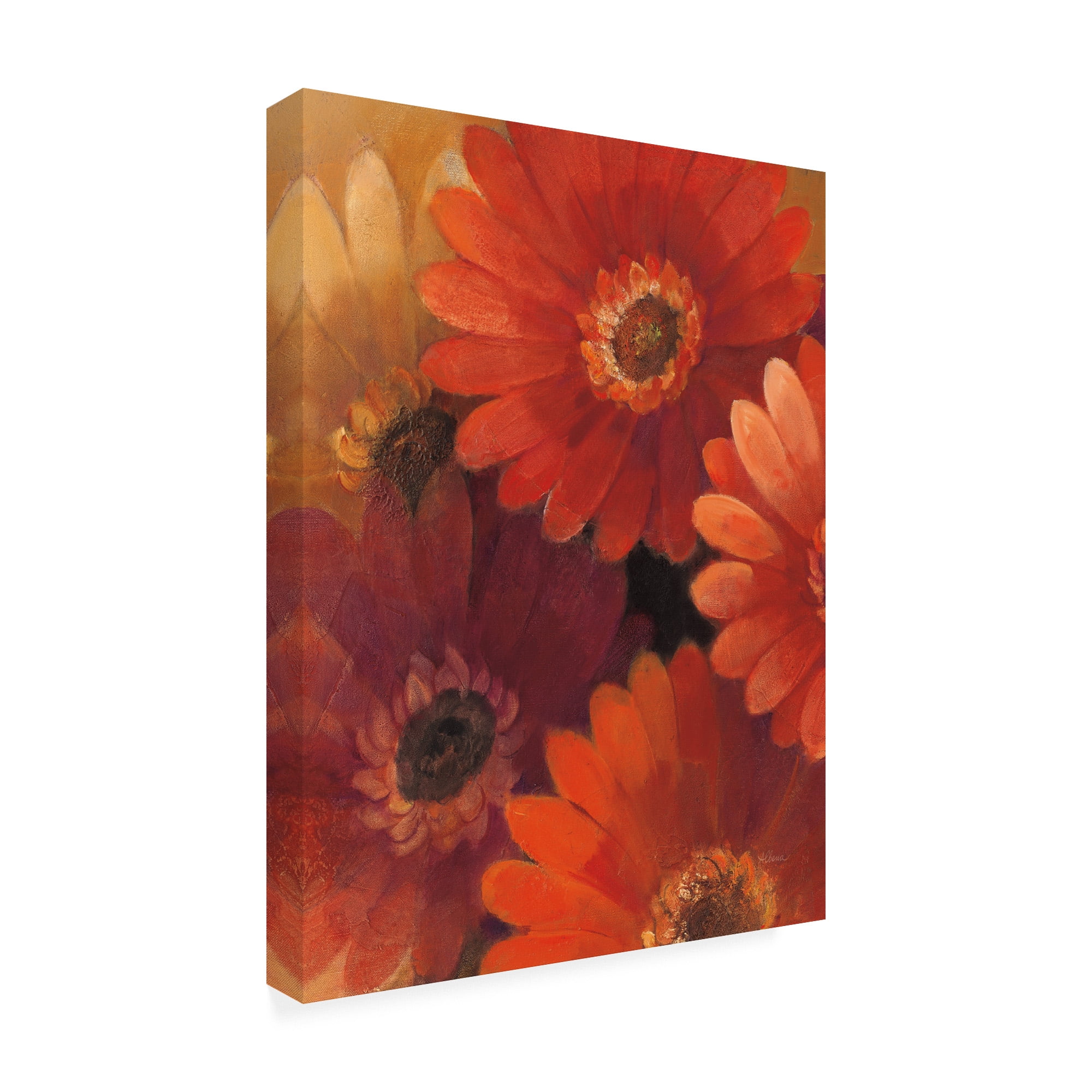 Trademark Fine Art 'Garden Of Gerberas Ii' Canvas Art by Albena Hristova