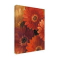 thumbnail image 2 of Trademark Fine Art 'Garden Of Gerberas Ii' Canvas Art by Albena Hristova, 2 of 3