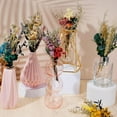 thumbnail image 3 of Artrylin Natural Dried Flower Bouquet Style B Wedding and Christmas Decor 6-Pieces, 3 of 8