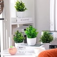 thumbnail image 5 of Small Fake Plants Mini Artificial Potted Plants Indoor Plastic Artificial Plants Aesthetic Eucalyptus Greenery Decor for Office Shelves Living Room Bathroom Bedroom (Fresh Style, 10 Packs), 5 of 5