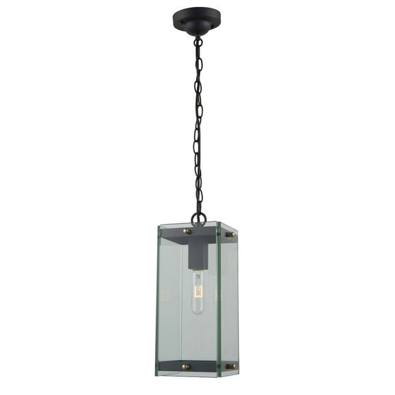 Artcraft Lighting Bradgate 1Light Outdoor Pendant
