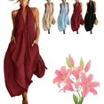 thumbnail image 1 of Robe Maxi Minimaliste à Col Licou - Robe d'Été Décontractée à Coupe Ample avec Poches, Chic Sans Manches Longue Robe de Plage, 1 of 8