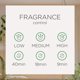 thumbnail image 5 of Recambio para ambientador Air Wick Pure Summer Delights 175 ml, 5 of 7