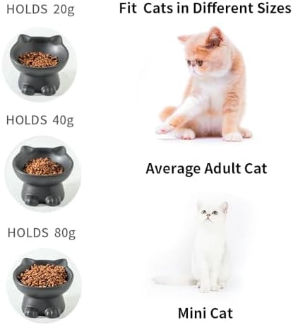Slanted Elevated Cat Bowls: 5 Inch Ceramic Raised Cat Food Bowl for Protecting Pet's Spine - Microwave & Dishwasher Safe -Matte Black (4.5 OZ /1 PC)