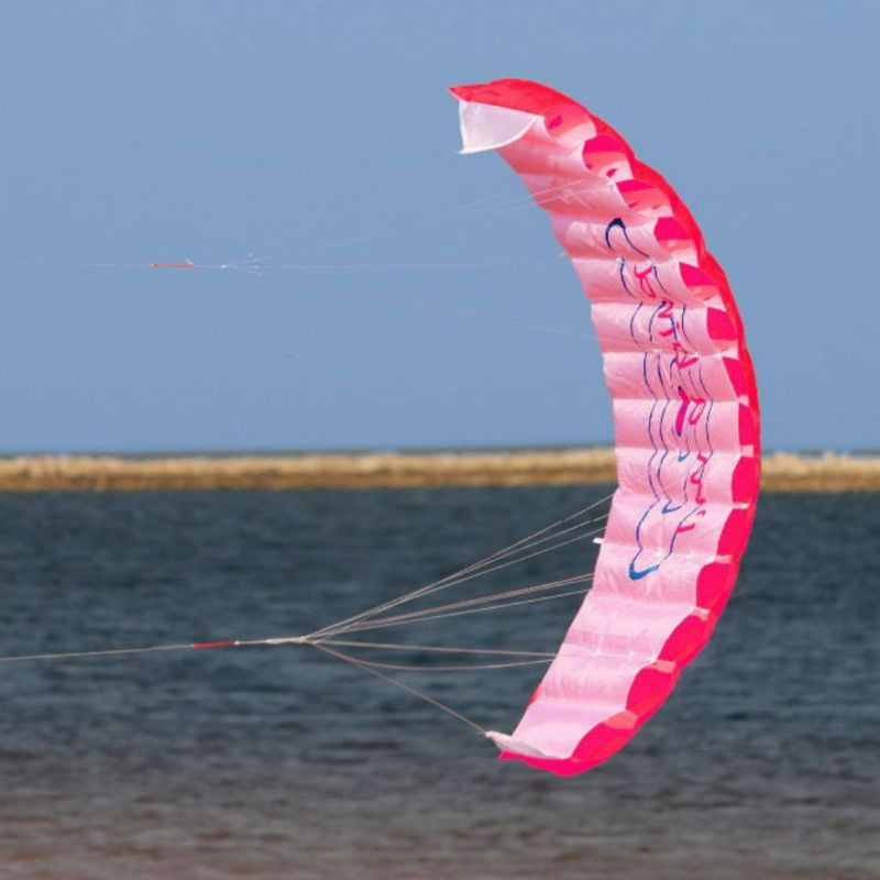 2.5m Huge Dual Line Parafoil Parachute Blue Stunt Kite Outdoor Watersport Beach 