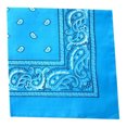 thumbnail image 1 of Naiovety Moda Hip Hop algodón pañuelo cuadrado bufanda negro rojo Paisley diadema impresa para mujeres/hombres/niños/niñas sombreros Almacenamiento y organización del hogar azul claro, 1 of 6