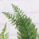 thumbnail image 4 of GOOHOCHY Adorno de césped artificial para terrario de reptiles, decoración para pecera de tortugas y reptiles - 35 cm (verde), 4 of 8