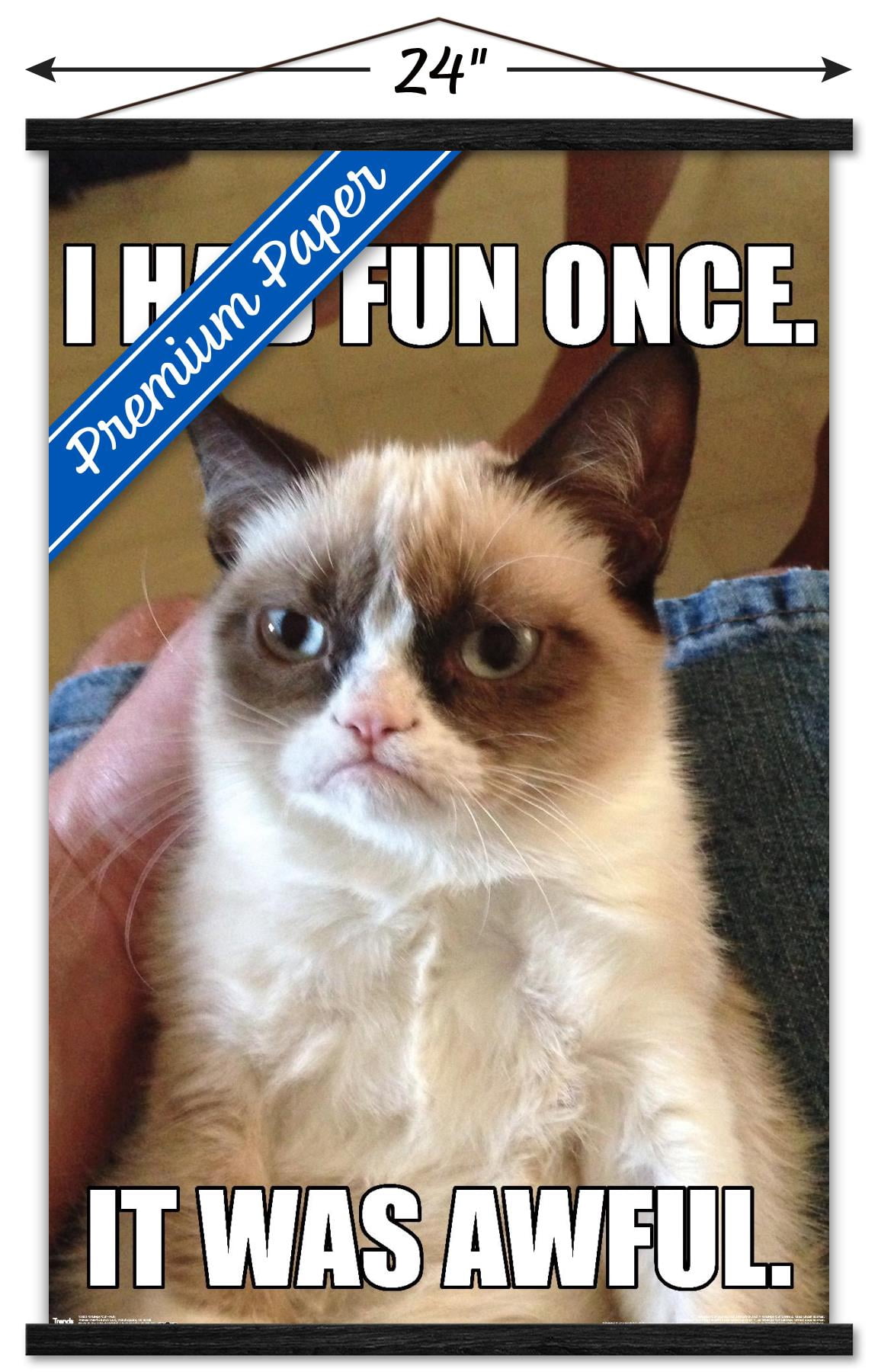 Grumpy Cat - Fun Wall Poster with Wooden Magnetic Frame, 22.375" x 34"