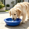thumbnail image 5 of Pet Cooling Bowl, Chilled Pet Water Bowl, Summer Pet Cooling Ice Bowl, Heat Relief, Special Cooling Ice Bowl, Maintains Low Water Temperature for Long Time, 5 of 9