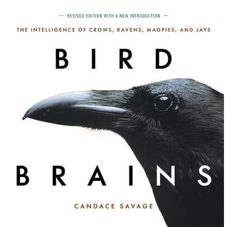 Bird Brain Flowers - Bird Brains : The Intelligence of Crows, Ravens, Magpies, and Jays