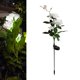 thumbnail image 3 of Energía Solar rosas flores jardín luz hogar flores decorativas luces de noche para jardín paisaje césped Patio decoraciones de Patio blanco, 3 of 8