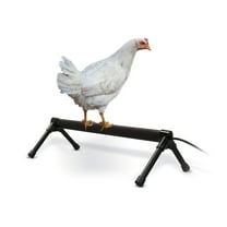 KH Pet Products Thermo-Chicken Perch Gray 26 x 14 x 8 40-Watt