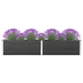 thumbnail image 1 of vidaXL Lit de Jardin Surélevé 200x50x54 cm WPC Gris, 1 of 4