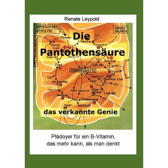 Die Pantothensäure - das verkannte Genie (Paperback) by Renate Leypold