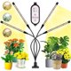 thumbnail image 1 of 2020 new 80 leds 4 heads plant lamp auto timing on/off led grow light for seedlings succulents orchid, 1 of 4