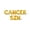 Gold, variant on Letter Balloons - CANCER SZN 16" Inch Alphabet Letters Foil Mylar Balloon Birthday Party Banner (Silver)