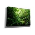 thumbnail image 2 of Cortesi Home 'Warm Glow Rainforest Creek' by Nicklas Gustafsson Canvas Wall Art, 26"x18", 2 of 2