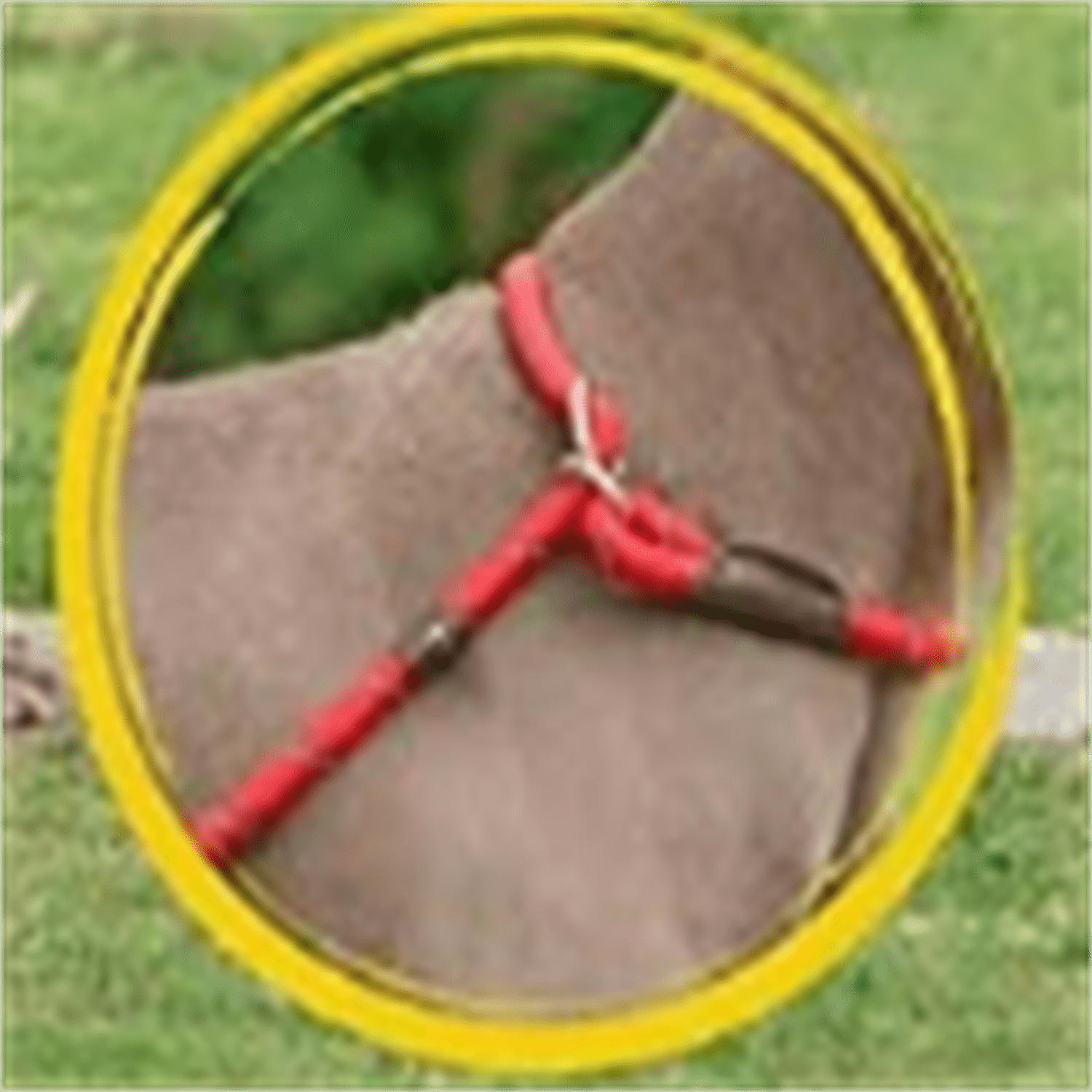 Durable Slip Lead Bulk Pack of 5, Heavy Duty 1/2" x 6 FT Comfortable Strong Rope Slip Lead for Large, Medium & Small Dogs No Pulling Pet Training Leash with Highly Reflective Red