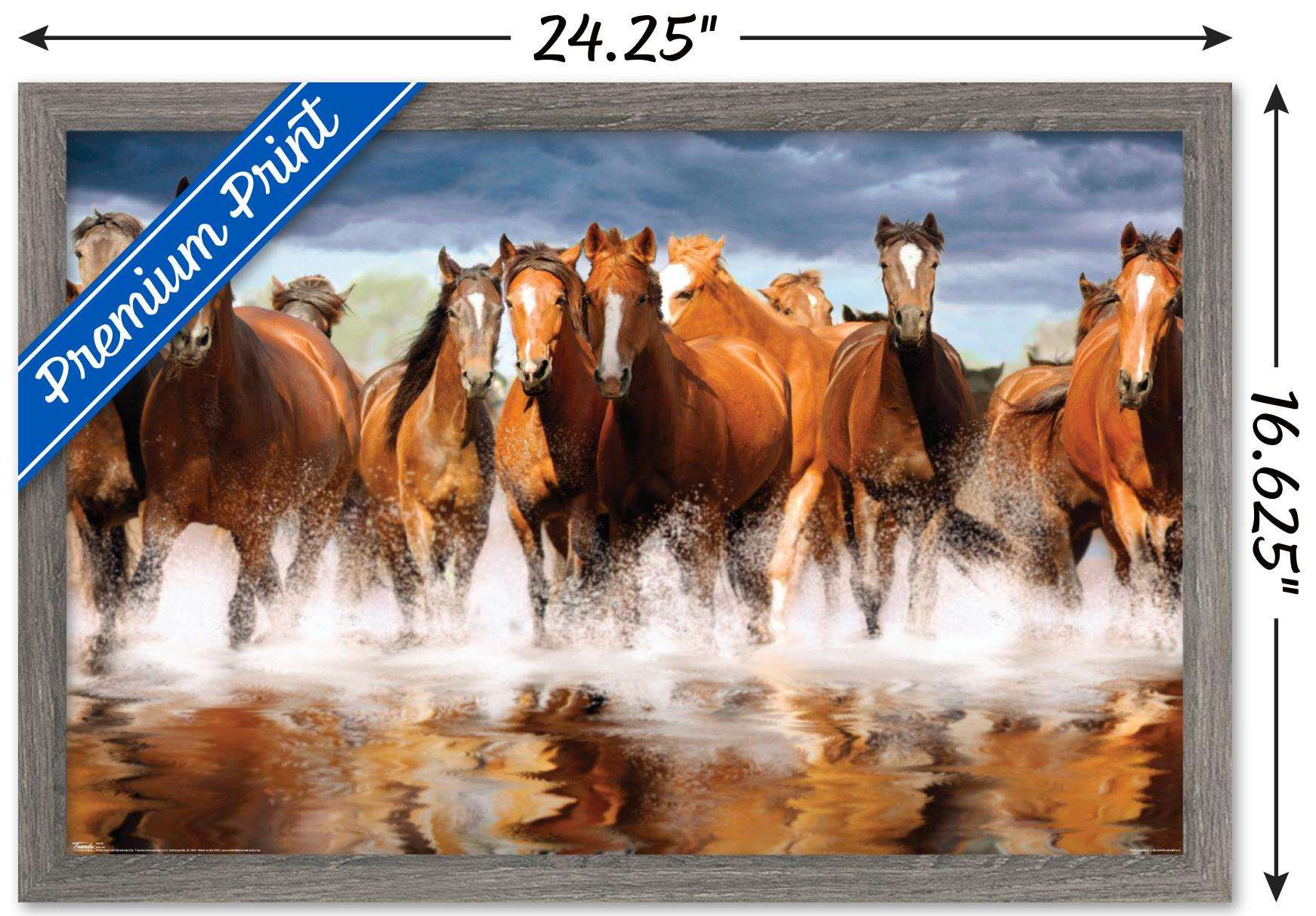 Horses Wall Poster, 14.725" x 22.375", Framed
