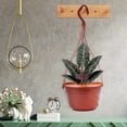 thumbnail image 2 of 6pcs red Hanging Planters for Outdoor Plants, Large Hanging Planter with Drain Holes,Hanging Flower Pots, 2 of 5