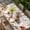 Red Green, variant on Red Mushrooms Table Cloths for 6 Foot Rectangle Tables, Eucalyptus Leaves Summer Botanical Rustic Patio Waterproof Elastic Fitted Tablecloths, Washable Rectangular Table Cover for Camping
