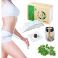 thumbnail image 1 of BENJEN Parche abdominal de artemisa 30 piezas, ajenjo natural, 1 of 5