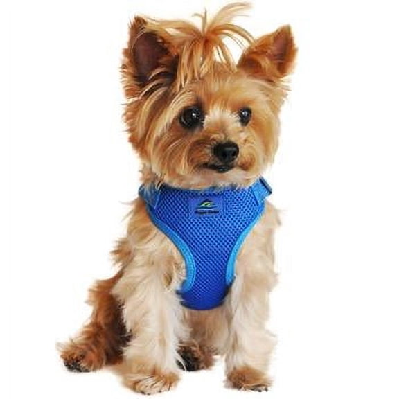 Wrap and Snap Choke Free Dog Harness - Cobalt Blue X-Small