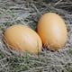 thumbnail image 3 of Huevos de Pascua de madera | Huevos de imitación sólidos de 5,8 cm para gallinero y decoración | Manualidades, pintura y regalo navideño para niños, 3 of 3