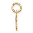 thumbnail image 2 of 14k Yellow Gold Swiss Cheese Charm, 2 of 4