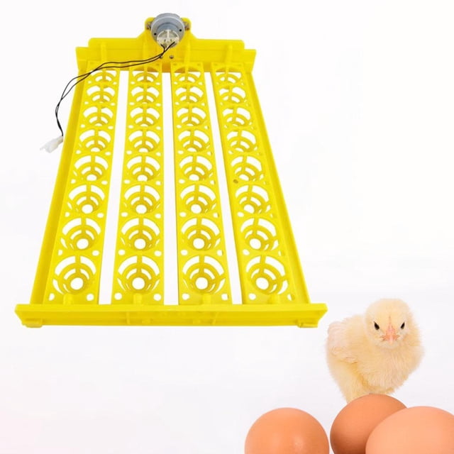 de huevo volteadora automática de huevo aves , 32 huevo de huevo control mperatura, incubación para ave DC 12V Colco Bandeja giratoria automática para huevos