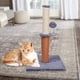 thumbnail image 3 of Rascador para gatos, poste de juego de sisal, centro de actividades, casa para mascotas, gatito gris claro, 3 of 6