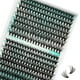 thumbnail image 1 of Grupos de extensiones de pestañas, 320 unidades, 30 D, 40 D, Wispy Natural, 1 of 6