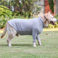 thumbnail image 2 of Greeniant Mascota Otoño Invierno Cuello alto Camisa de fondo Slim High Elasticity Dog Stretch Slim Bottoming Shirt Perro Elástico Ropa de abrigo con Ropa para mascotas No.6 Greeniant PT001642-06, 2 of 6