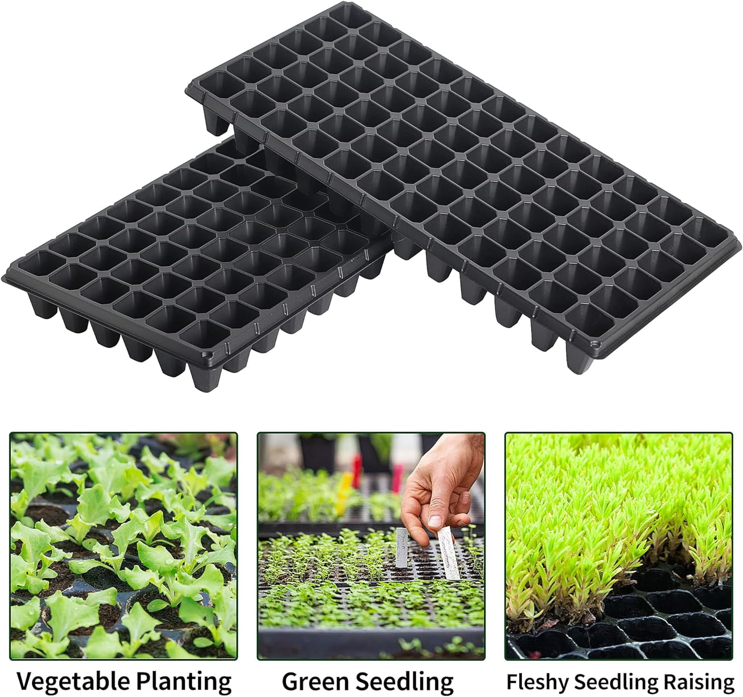 360 Cells 20×10 Inch Seedling Plug Trays - 5 PCS 54x28cm Reusable Seed Starter Container for Nursery Growing  Propagation Germination GDPL02S72A 【1.5"x1.5" Grid, 2.2" Depth】72 Grids/Tray