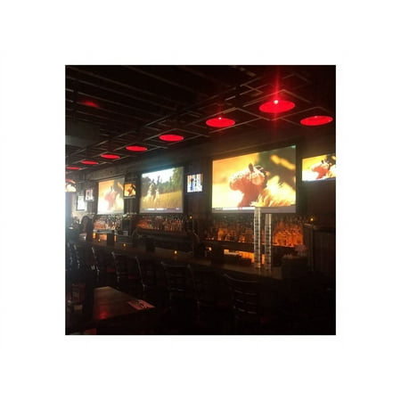 Elite Screens - Spectrum Electric Projection Screen - White