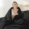 thumbnail image 4 of Dhole 5-Piece Bed in Bag - Twin Size Comforter Sets, Pillowcases & Sheet Collection for Cozy Bedding Sets Black, 4 of 14