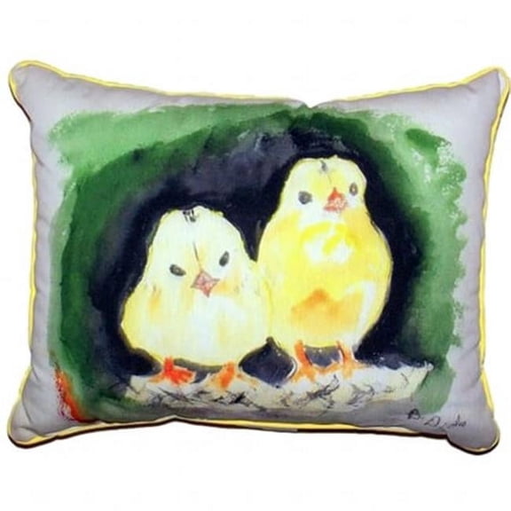 Chicks Extra Large Zippered Pillow