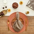 thumbnail image 5 of DII Solid Cotton 20x20" Napkin Set/6, 5 of 5