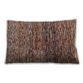 thumbnail image 1 of Ahgly Company Indoor Rectangular Contemporary Lumbar Throw Pillow, 13 inch by 19 inch, 1 of 5