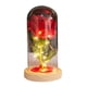 thumbnail image 1 of Lámpara de Botella LED, Hermosa Lámpara de Botella decorativa para el día de San Valentín, 1 of 8