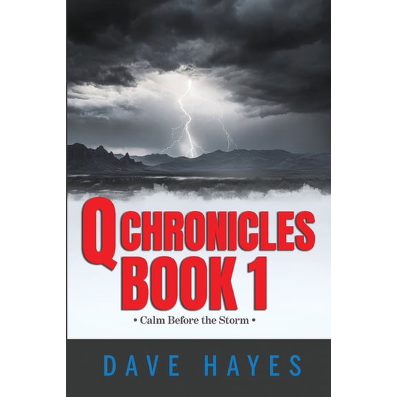 Q Chronicles Book 1, (Paperback)