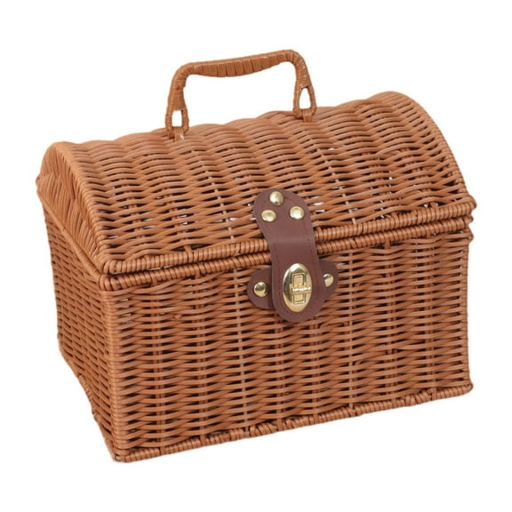 YWMJZEU Storage Basket Handwoven Display Suitcase Cosmetic Holder Space Saving Box Decor Large