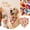 A001- A, variant on Fall Dog Bandana with Autumn Floral Print, 1 Pack, Orange and Yellow Sunflower Design, for Small Dogs and Cats, Pet Accessories